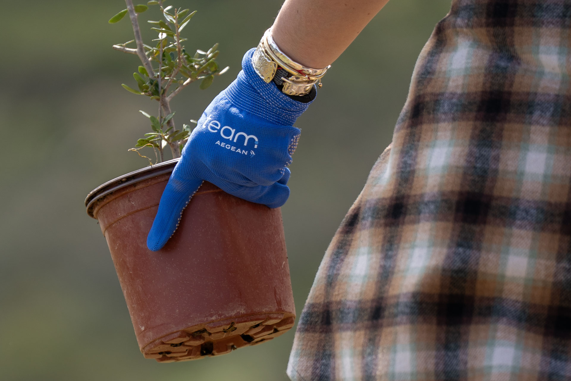 ​ Edit media   ​