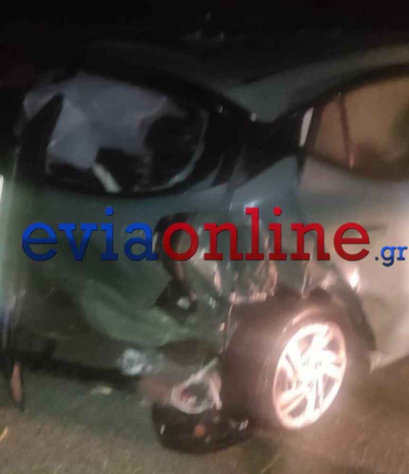 Εύβοια: Αυτοκίνητο χτύπησε αγριογούρουνο