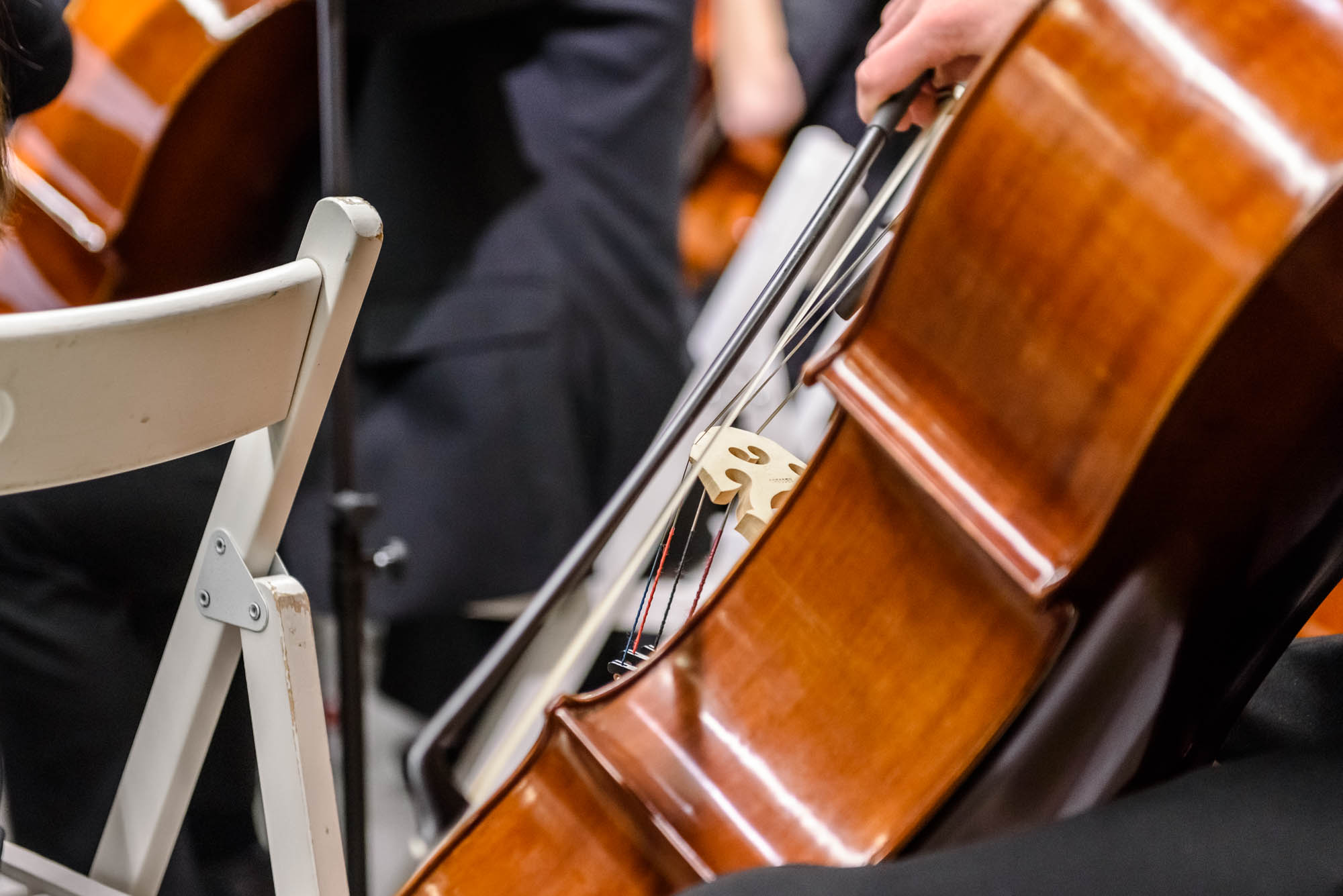 Φεστιβάλ Μουσικών Σχολείων της Minnesota