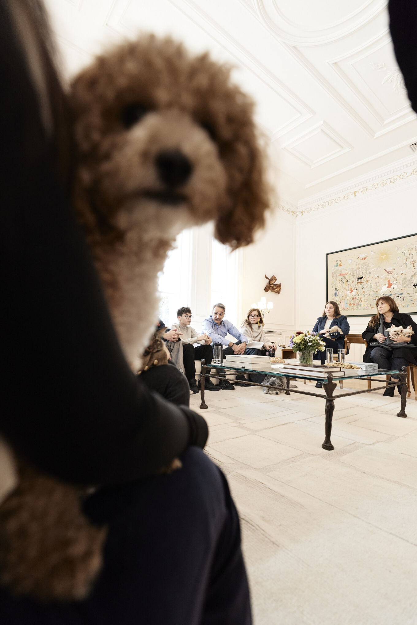 Μητσοτάκης: Υποδέχτηκε Έλληνες που επαναπατρίστηκαν από τη Μέση Ανατολή με τα κατοικίδιά τους