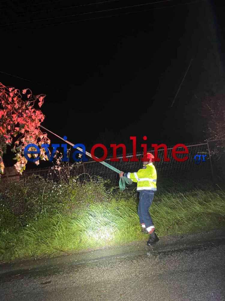Εύβοια: Πτώση δέντρου σε κεντρικό δρόμο στην Αμάρυνθο