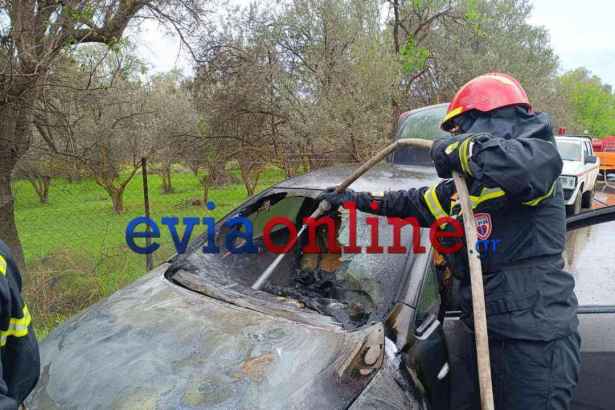Εύβοια: Φωτιά σε αυτοκίνητο εν κινήσει