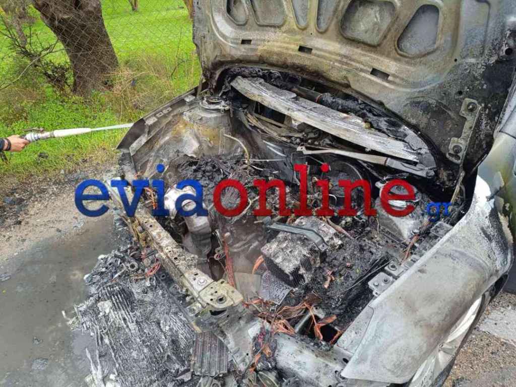 Εύβοια: Φωτιά σε αυτοκίνητο εν κινήσει