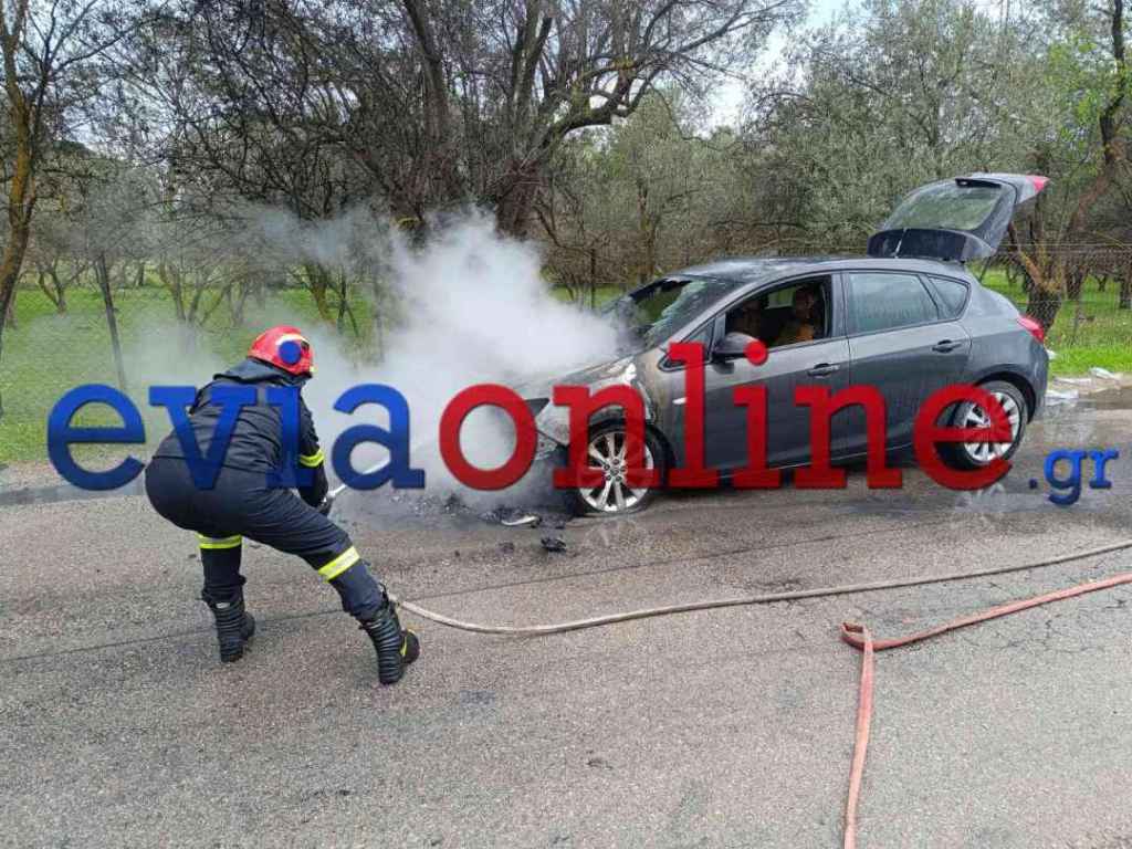 Εύβοια: Φωτιά σε αυτοκίνητο εν κινήσει