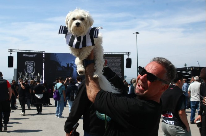Θεσσαλονίκη: Ασπρόμαυρη η πλατεία Αριστοτέλους για τα γενέθλια του ΠΑΟΚ