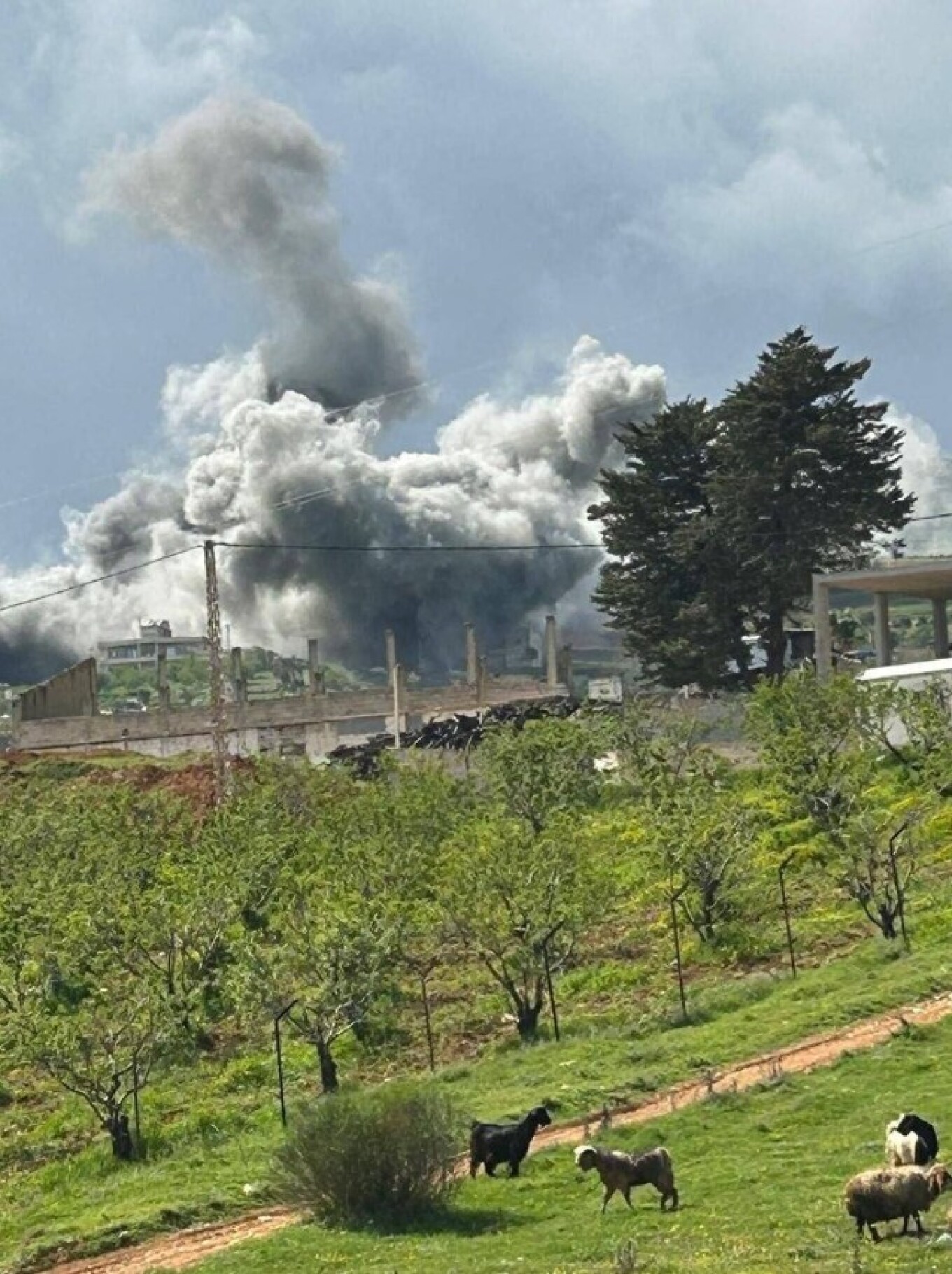 Λίβανος: Τουλάχιστον 254 οι νεκροί από τους μαζικούς βομβαρδισμούς του Ισραήλ