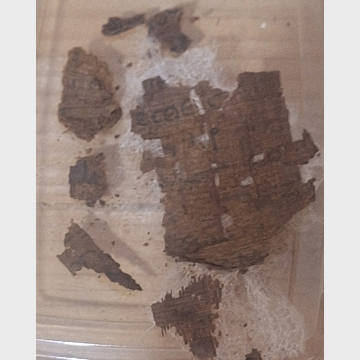 Αίγυπτος: Πάπυρος με στίχους της «Ιλιάδας» βρέθηκε μέσα σε μούμια