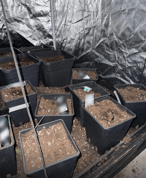 Εξαρθρώθηκε συμμορία που ρήμαζε καταστήματα ηλεκτρονικών ειδών