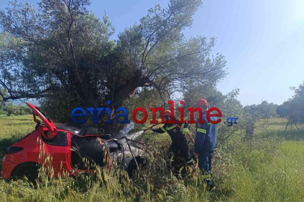 Εύβοια: Οδηγός έχασε τον έλεγχο βγήκε από τον δρόμο και έπεσε σε μια ελιά