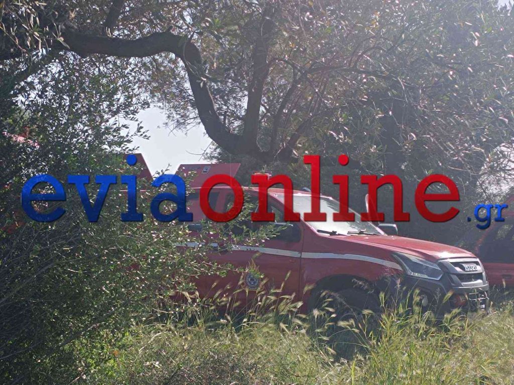 Εύβοια: Οδηγός έχασε τον έλεγχο βγήκε από τον δρόμο και έπεσε σε μια ελιά