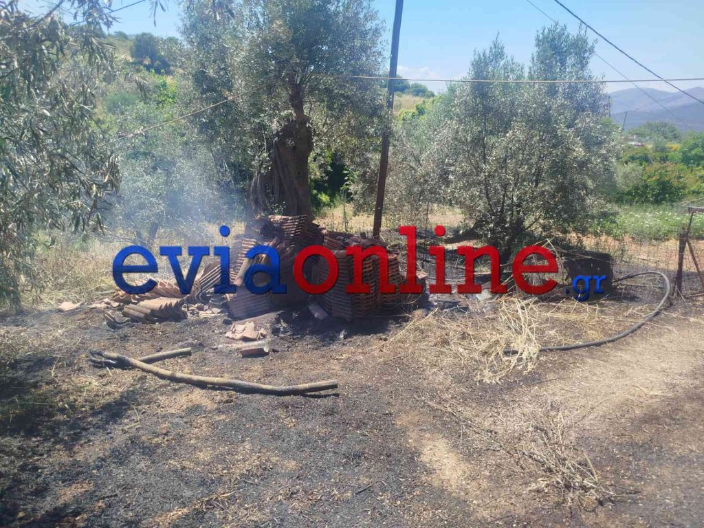 Εύβοια: «Βαρύ» πρόστιμο στον άντρα που συνελήφθη για την πρώτη φωτιά του καλοκαιριού