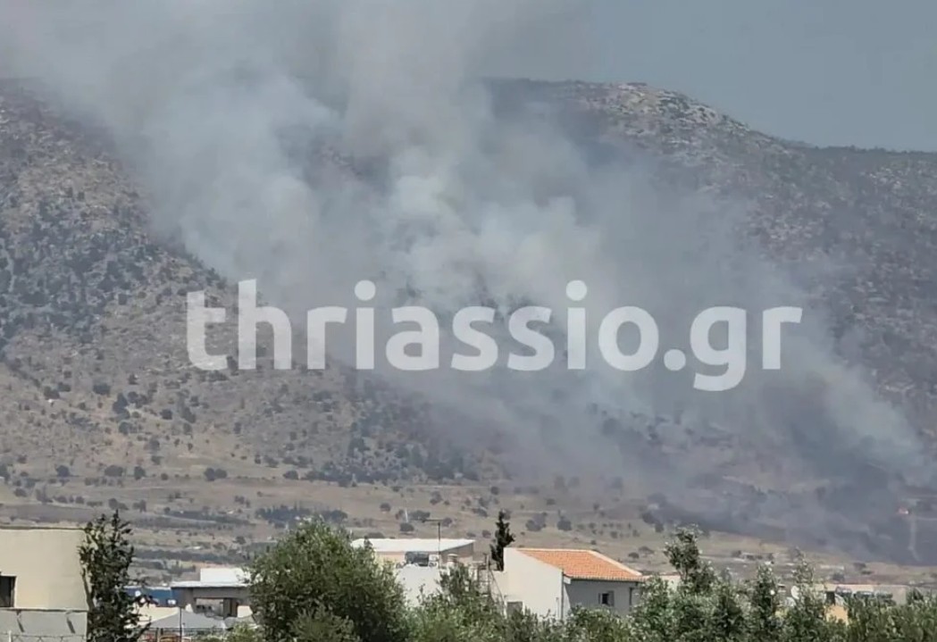 Φωτιά στον Ασπρόπυργο – Επιχειρούν ισχυρές πυροσβεστικές δυνάμεις