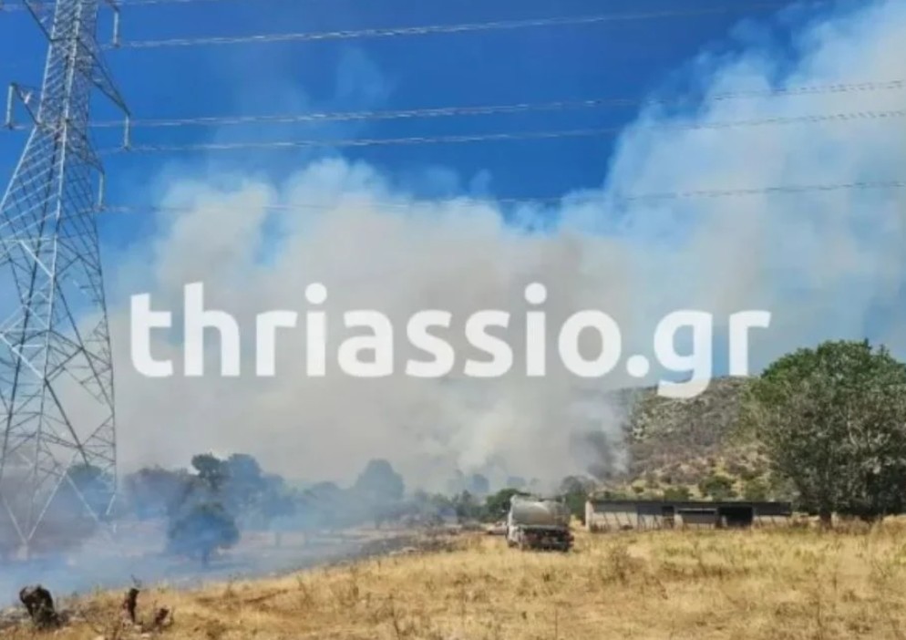 Φωτιά στον Ασπρόπυργο – Επιχειρούν ισχυρές πυροσβεστικές δυνάμεις