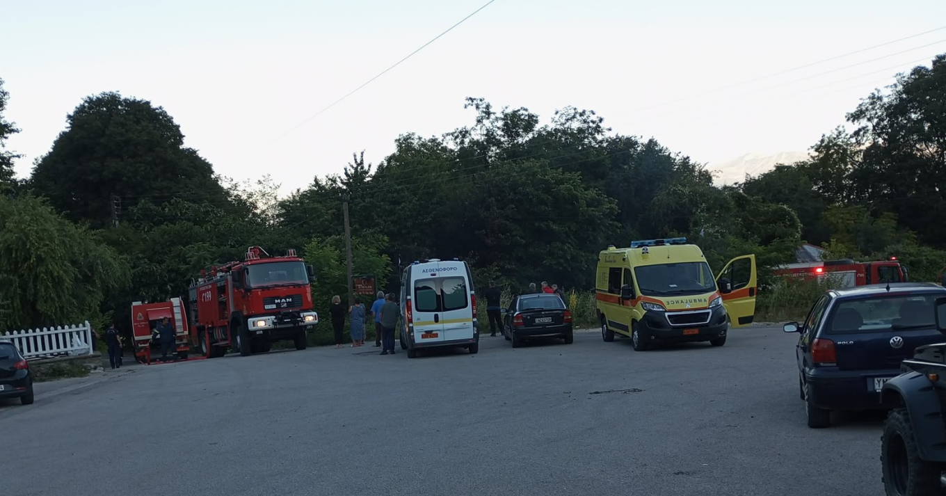 Κόνιτσα κοντέινερ φωτιά