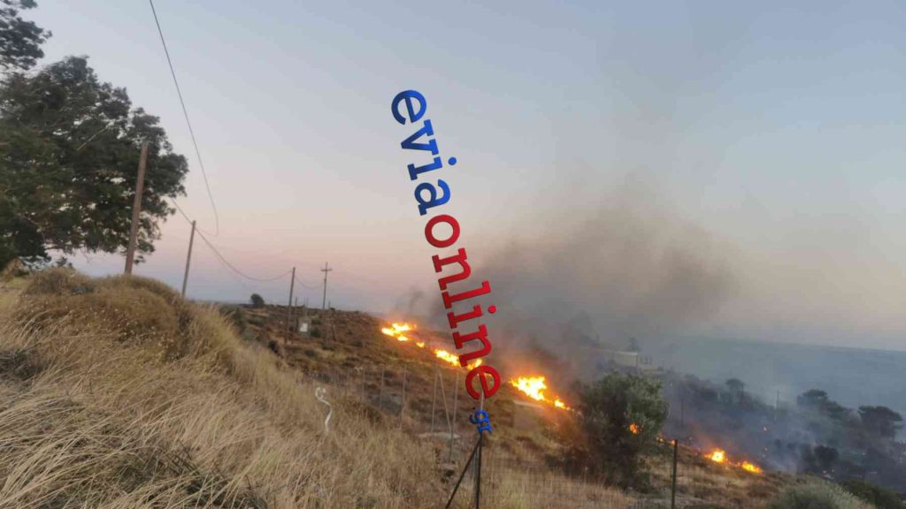 Εύβοια: Φωτιά την Κάρυστο