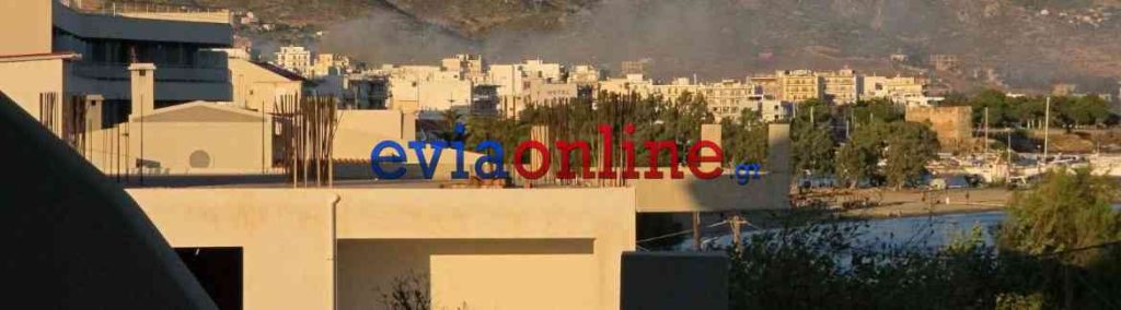 Εύβοια: Φωτιά την Κάρυστο