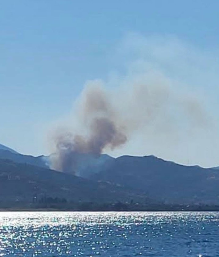 Φωτιά στις Νερατζιές Αιγιαλείας