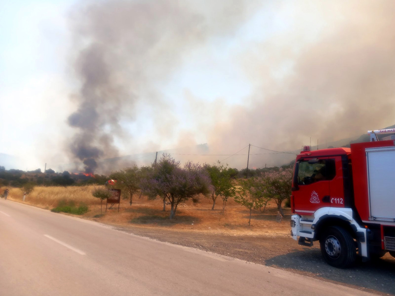 Φωτιά στην Επίδαυρο: Ενισχύθηκαν οι πυροσβεστικές δυνάμεις