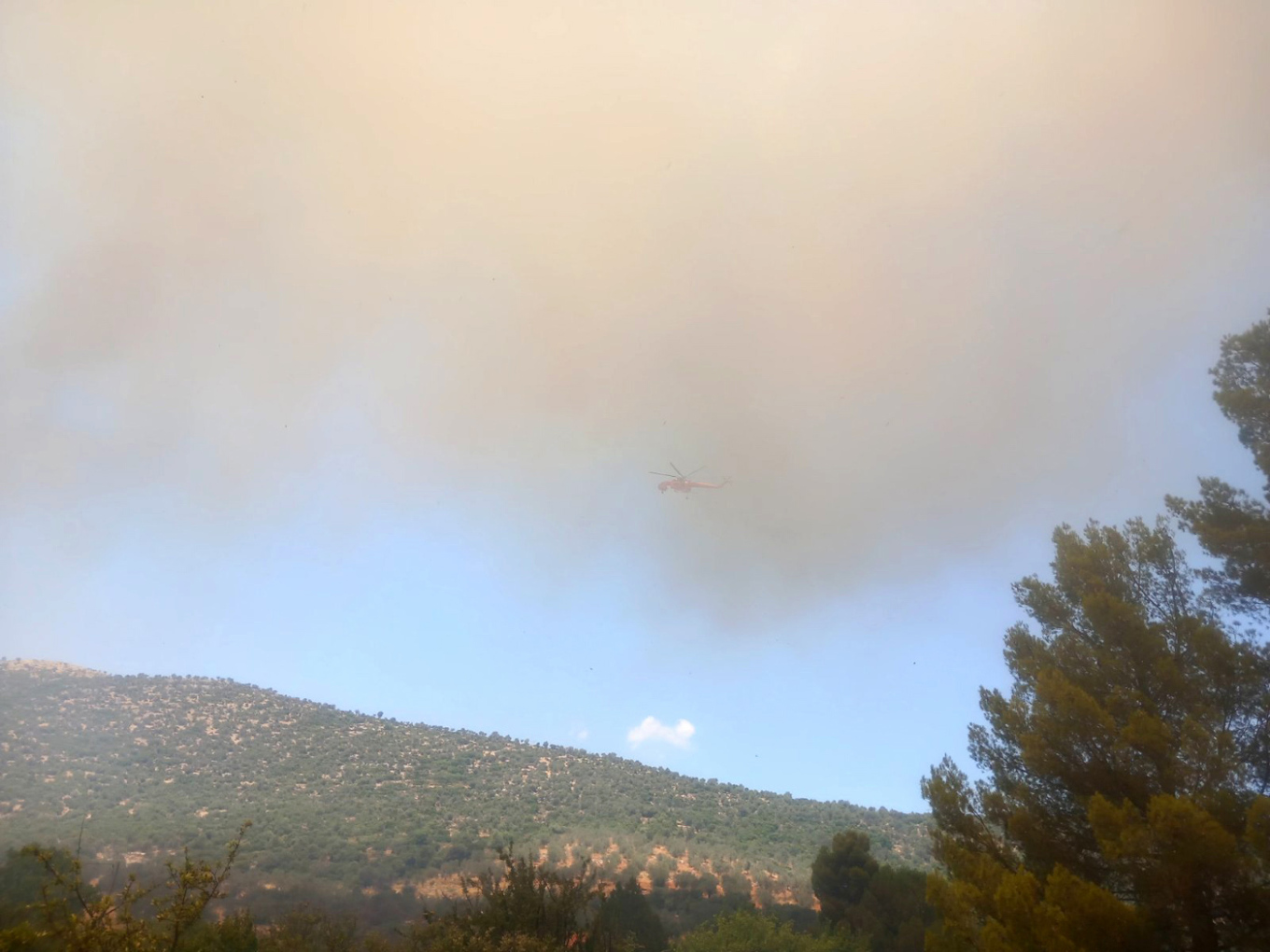 Φωτιά στην Επίδαυρο: Ενισχύθηκαν οι πυροσβεστικές δυνάμεις