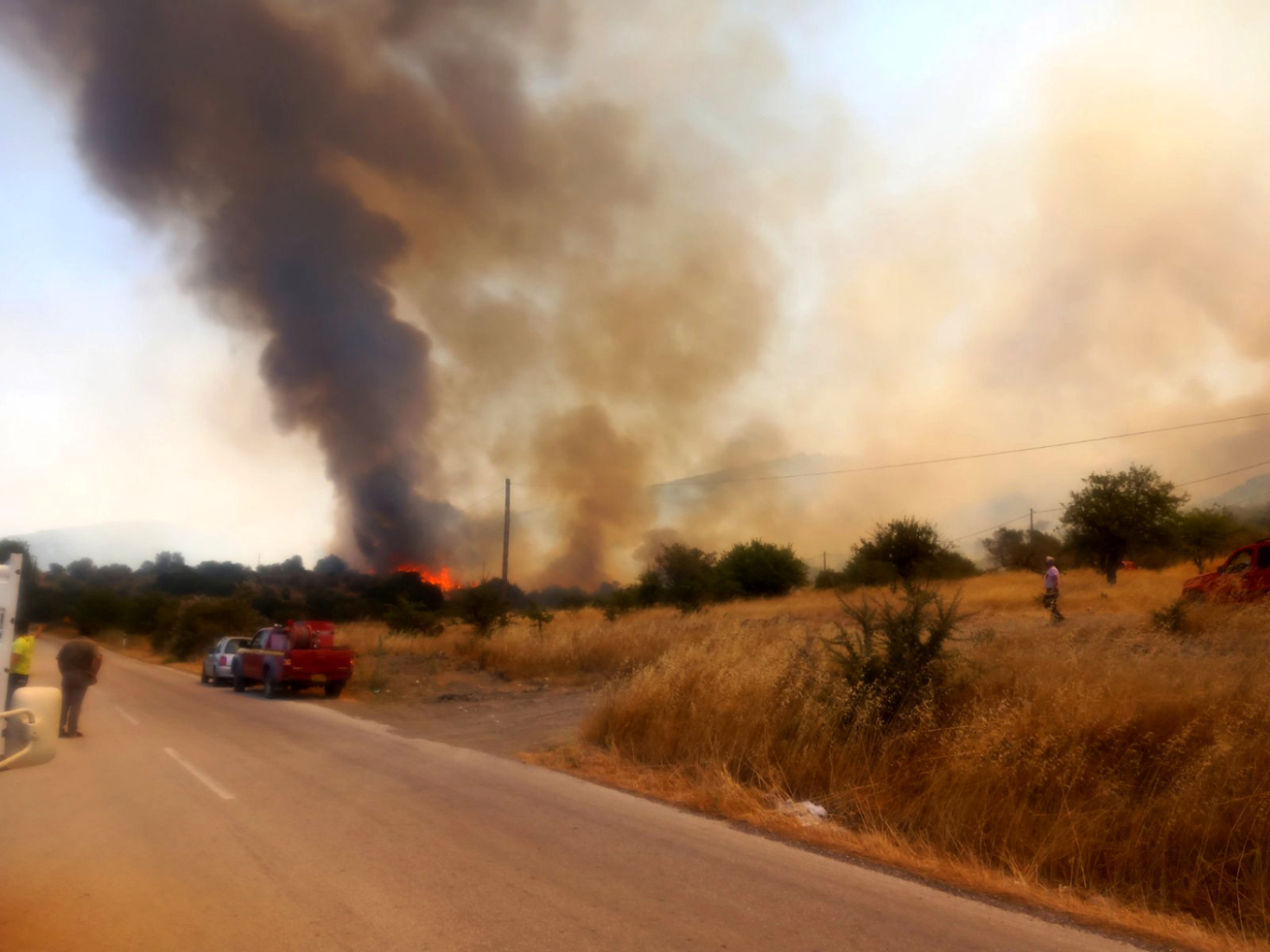 Φωτιά στην Επίδαυρο: Ενισχύθηκαν οι πυροσβεστικές δυνάμεις