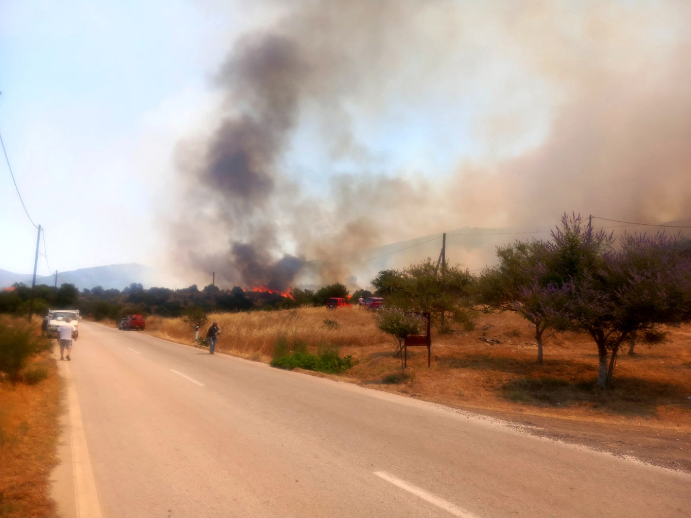 Φωτιά στην Επίδαυρο: Ενισχύθηκαν οι πυροσβεστικές δυνάμεις