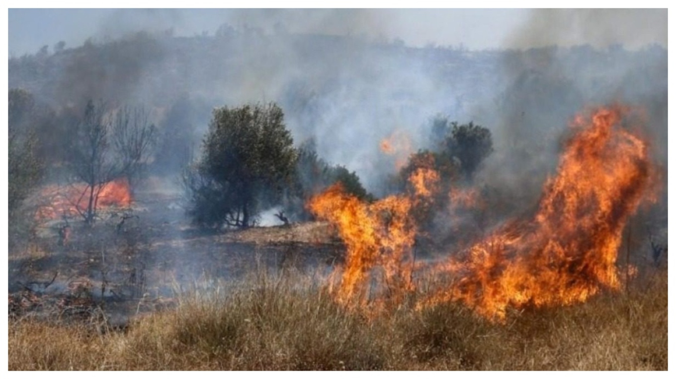 Μεγάλη πυρκαγιά στη Λέσβο