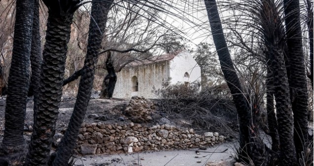 Εικόνες καταστροφής από το Φοινικόδασος της Πρέβελης