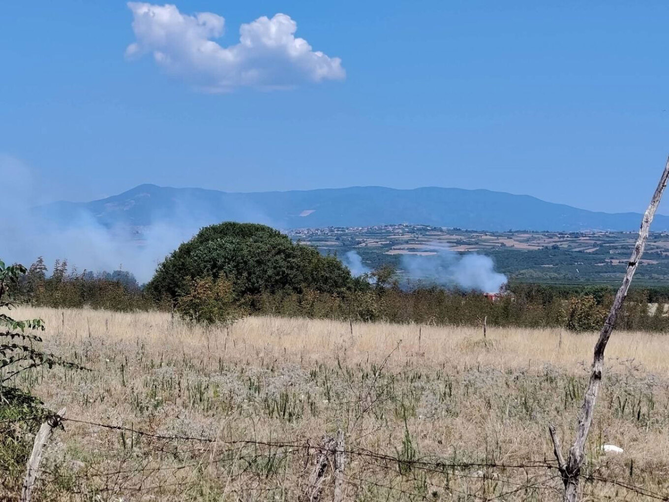 Πυρκαγιά στην Βροντού Πιερίας