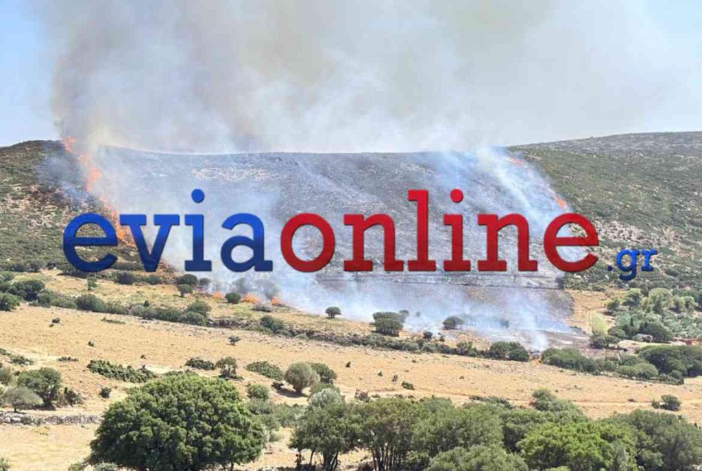 Φωτιά στη Σκύρο