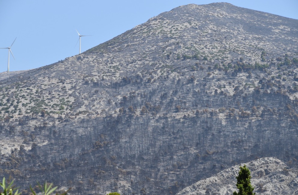 Επίσκεψη αντιπροσωπείας του ΣΥΡΙΖΑ στις πυρόπληκτες περιοχές της Δυτικής Αττικής