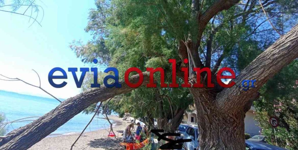 Εύβοια: Από θαύμα σώθηκε οικογένεια