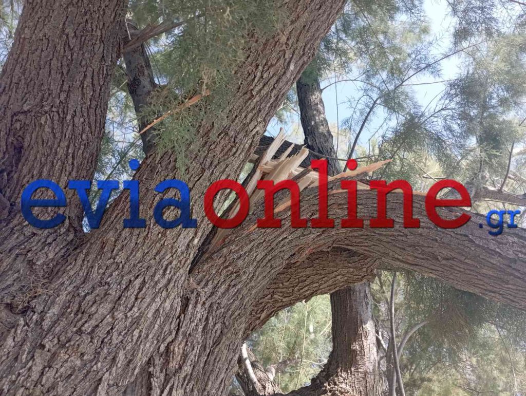 Εύβοια: Από θαύμα σώθηκε οικογένεια