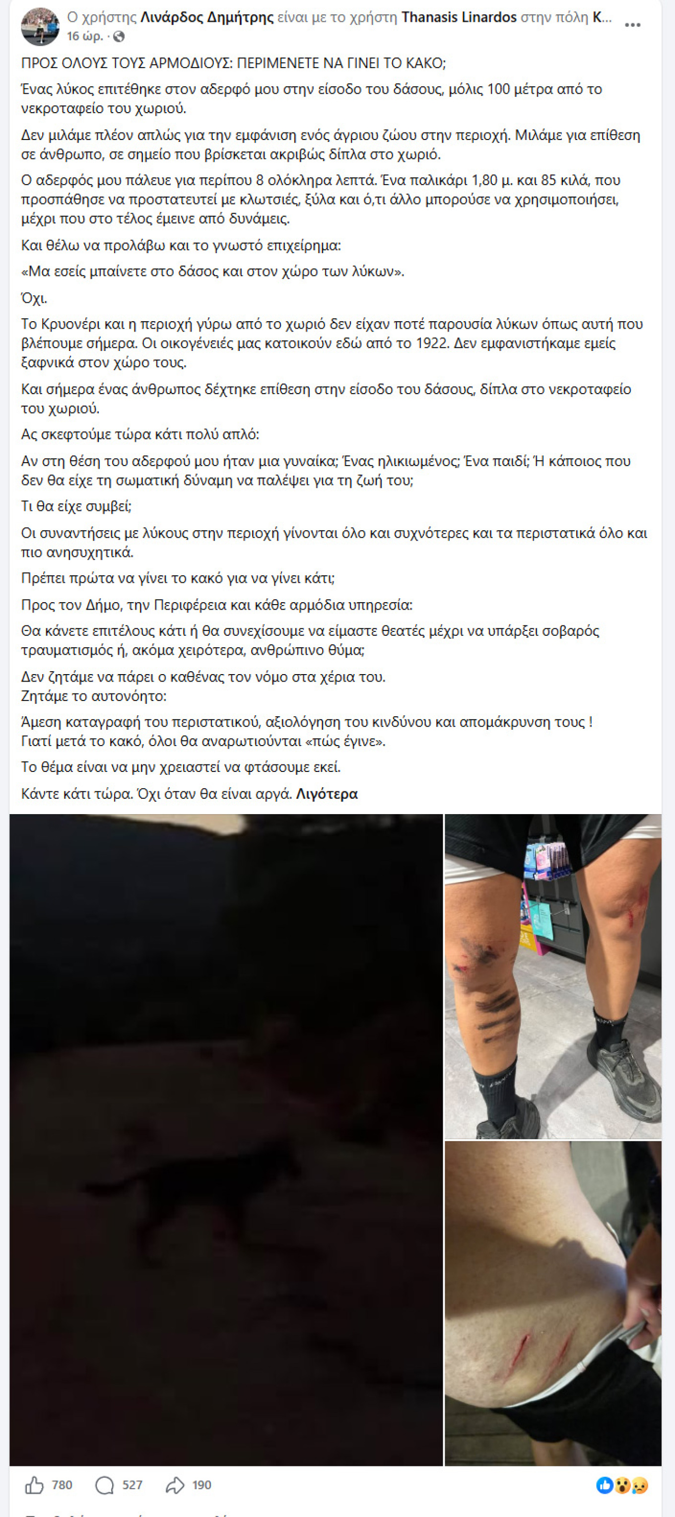 Κρυονέρι: Λύκος επιτέθηκε σε άνδρα