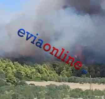 Εύβοια: Φωτιά στην Μακρύκαπα