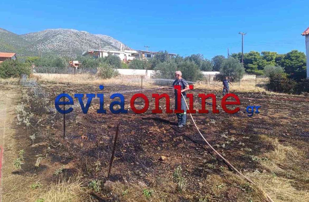 Εύβοια: Φωτιά ανάμεσα σε σπίτια