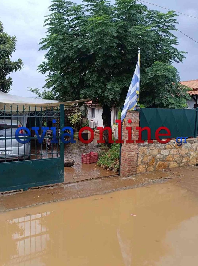 Εύβοια: Κραυγή αγανάκτησης από έγκυο