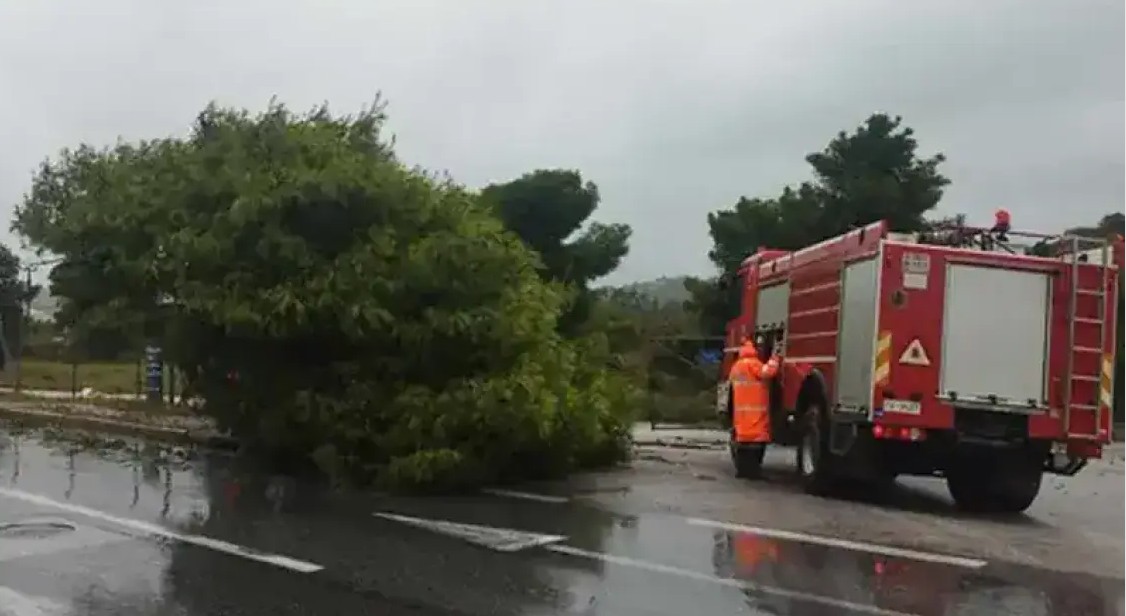 Ραφήνα: Έπεσε δέντρο στη Λεωφόρο Μαραθώνος