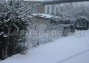 Χιόνια στην Στερεά Ελλάδα: Στα «λευκά» Φθιώτιδα και Ευρυτανία (Video)